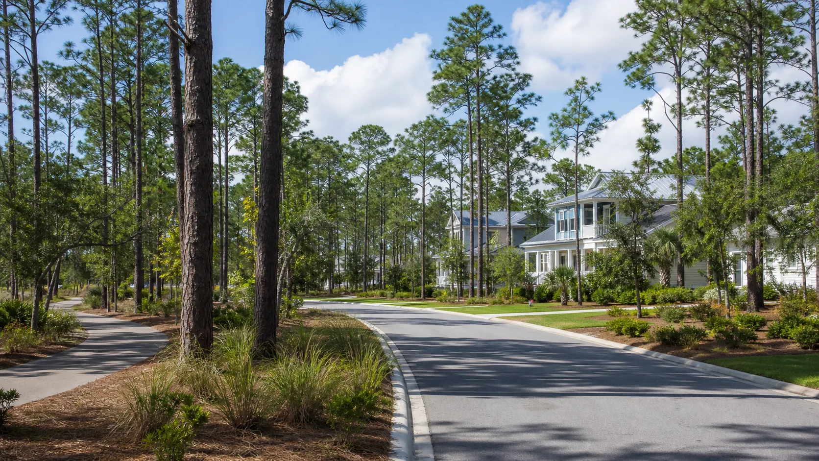 Landscaped residential street representing Brunswick Forest near Leland, North Carolina.